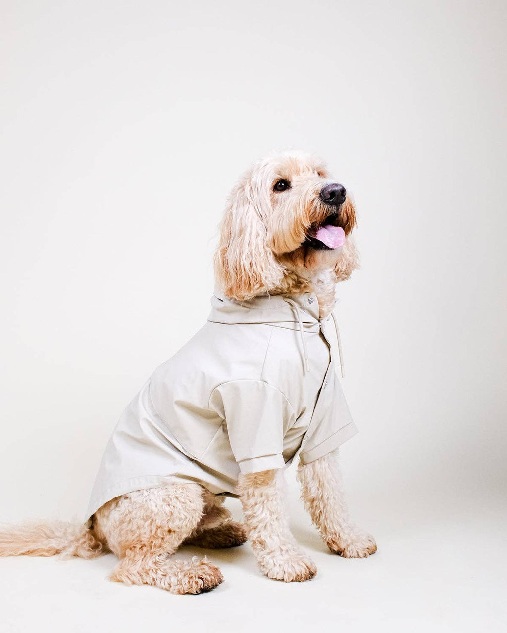 Imperméable  « Stone Dog »