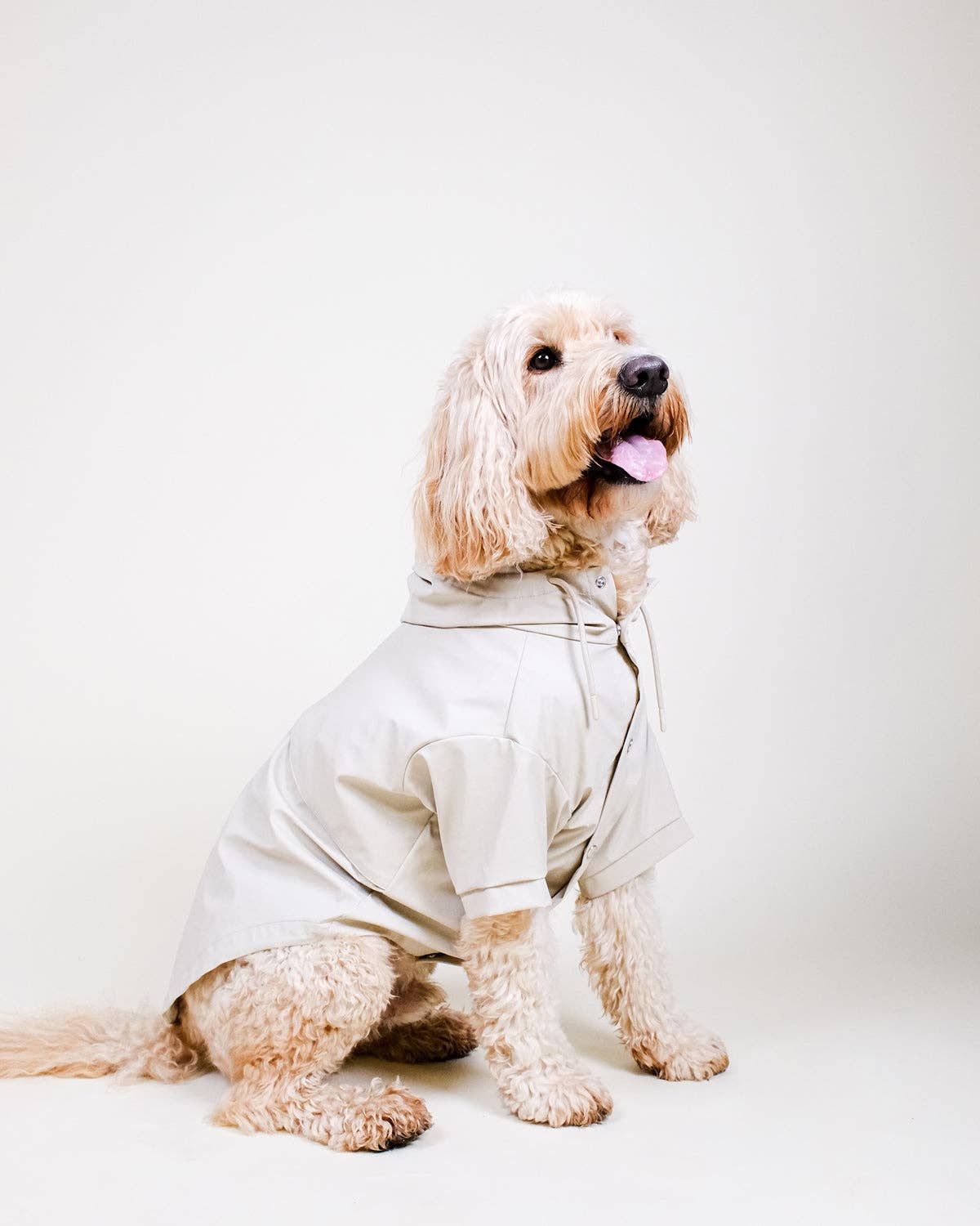 Imperméable  « Stone Dog »