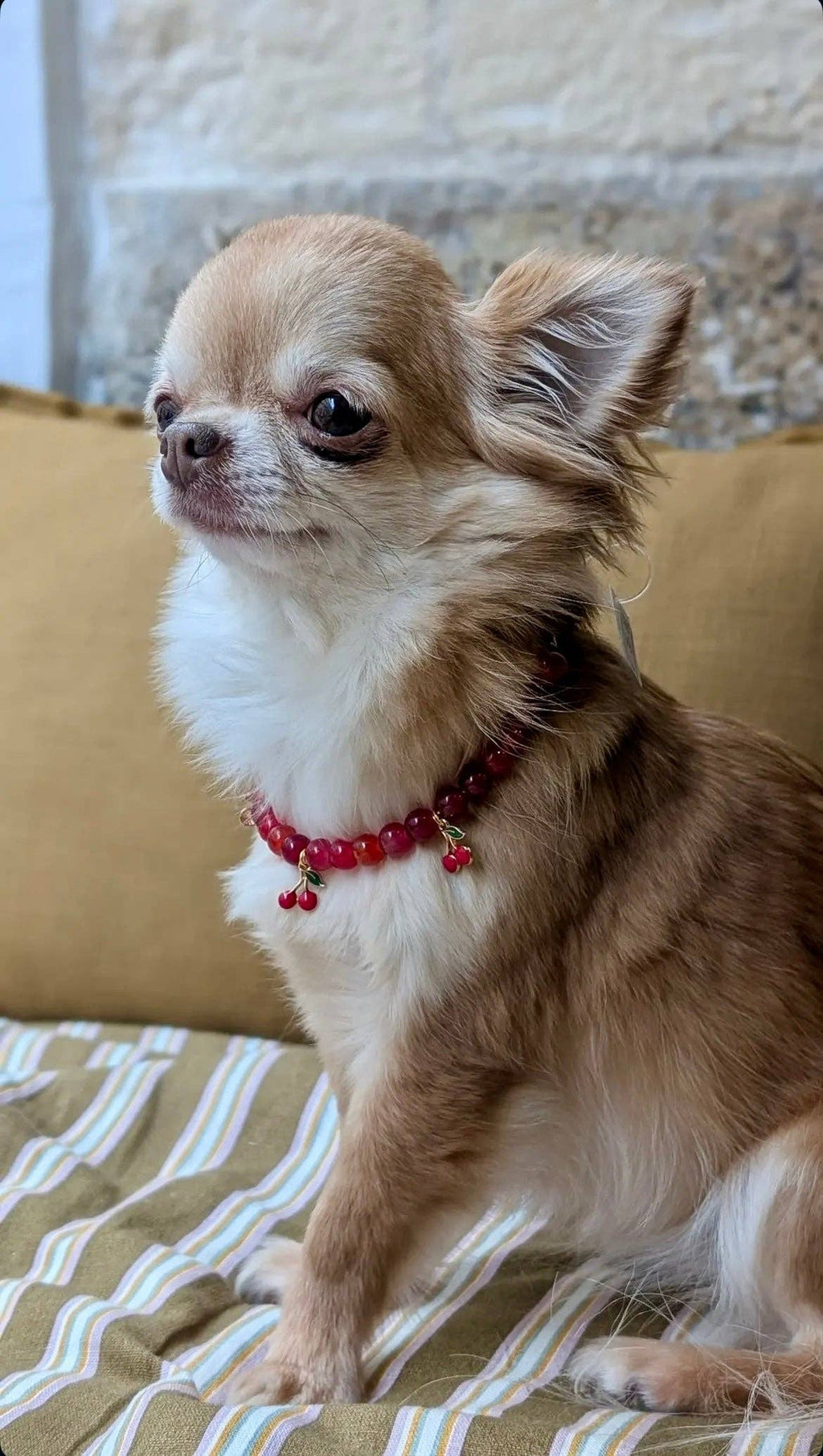 Collier en perles pour chien et chat Cherry Chéri