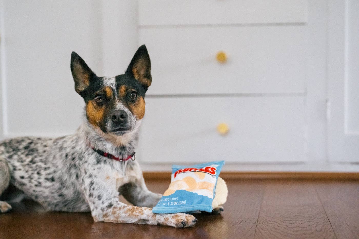 Jouet - Chips