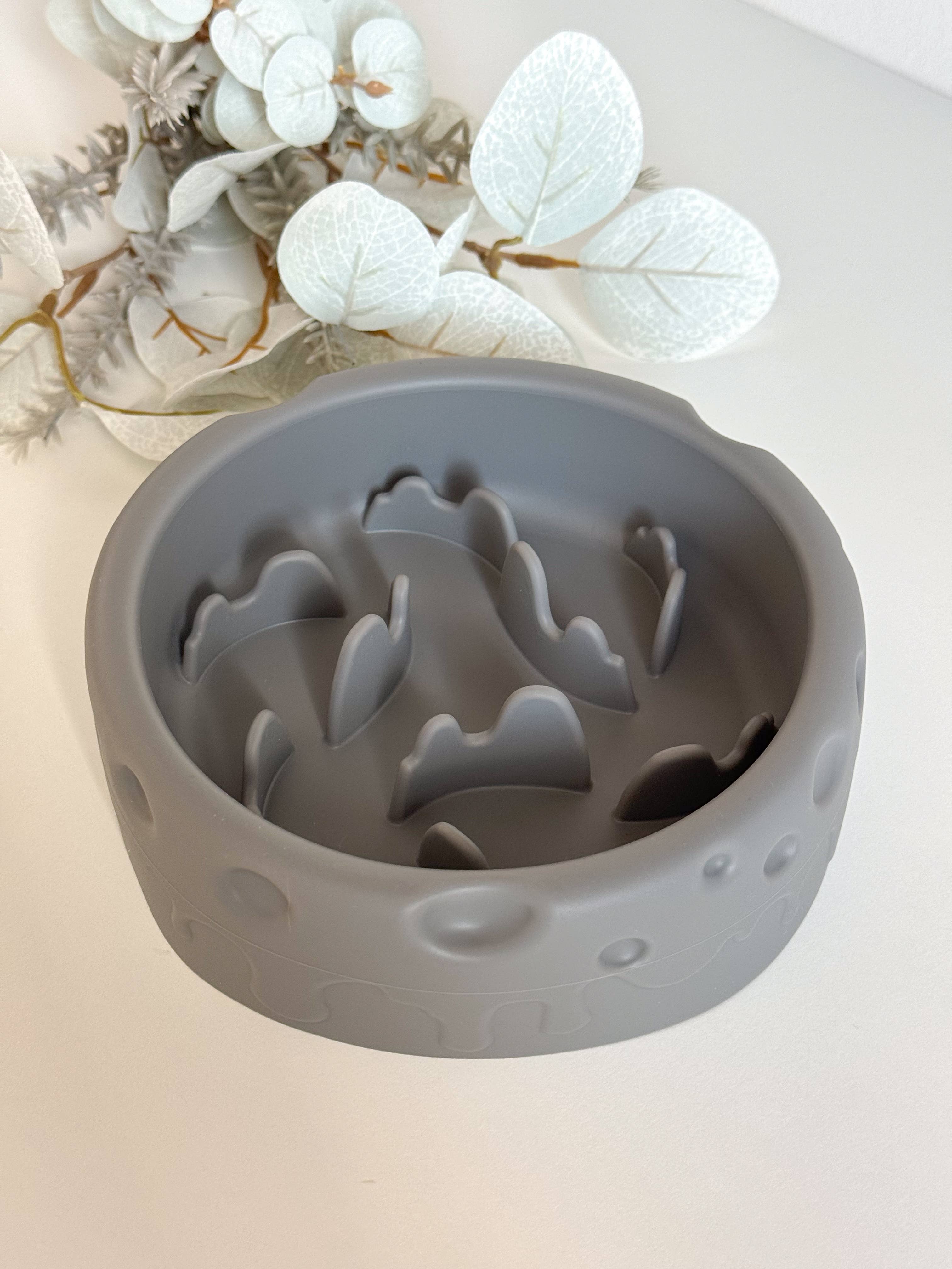 Gamelle anti-glouton Moon