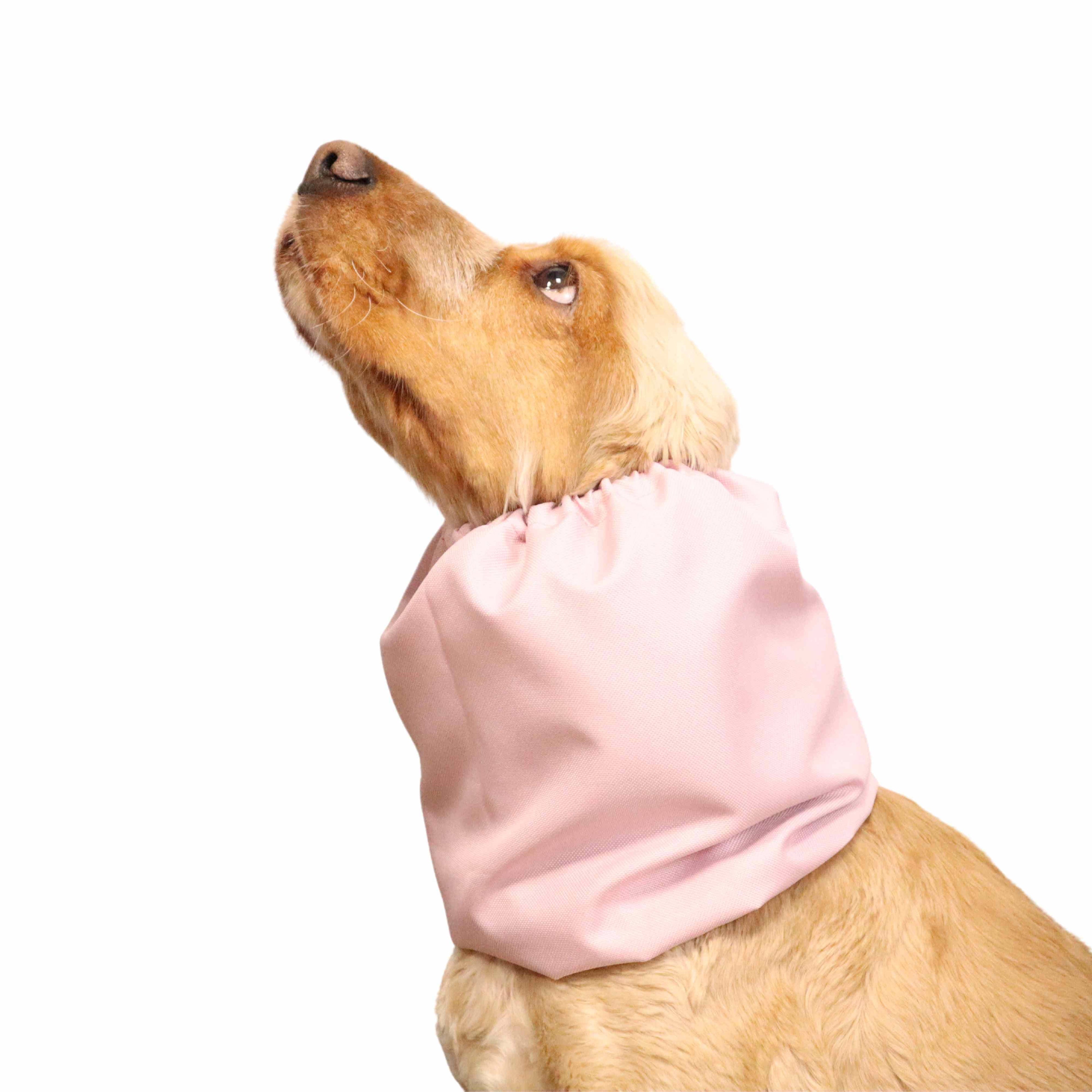 Snood Imperméable pour Chien | Rose Crème