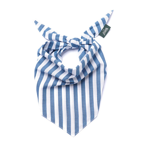 Bandana - Rayures bleues