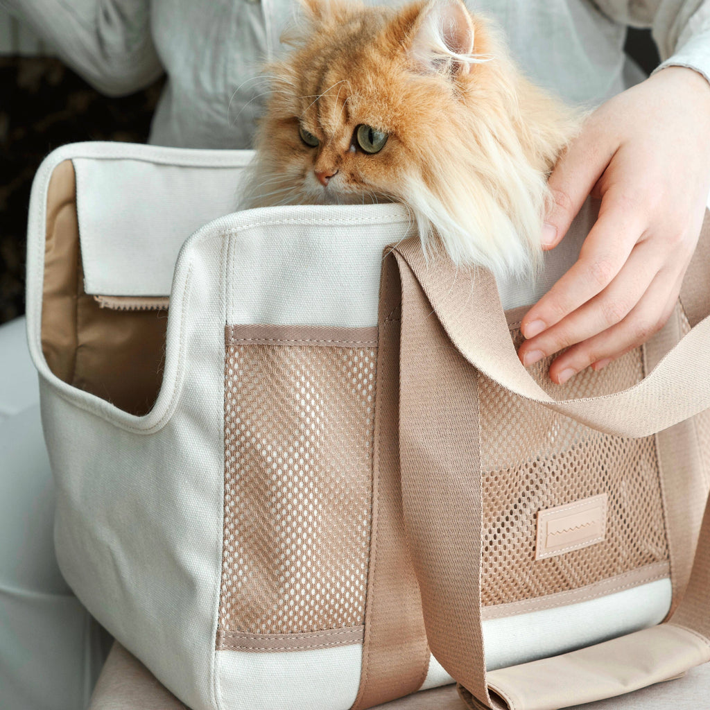 Sac de transport léger beige