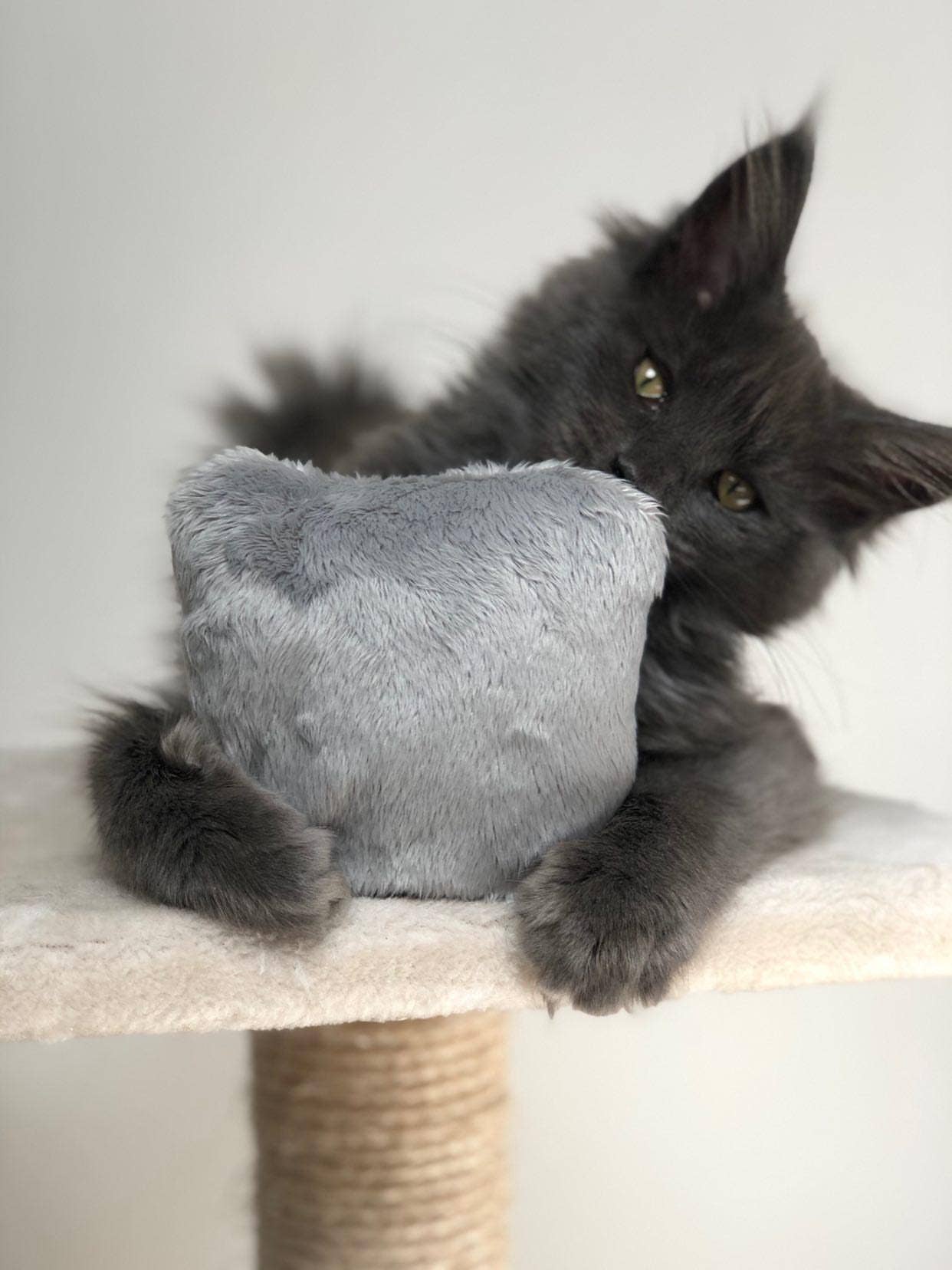 Coussin à la Valériane apaisant
