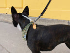 Médaille "Hot dog"