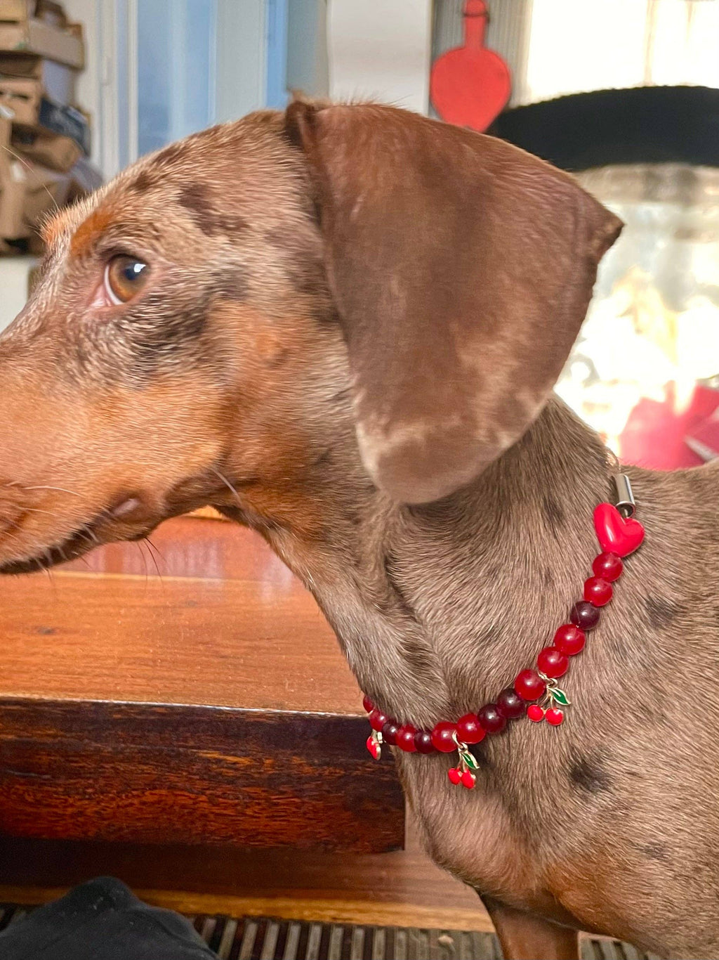 Collier en perles pour chien et chat Cherry Chéri