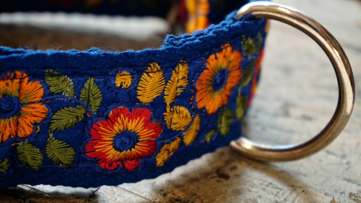 Collier large « Summertime » pour chiens moyens et grands