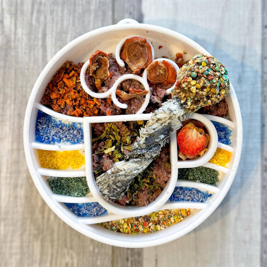 Mermaid Dust - Complément Alimentaire