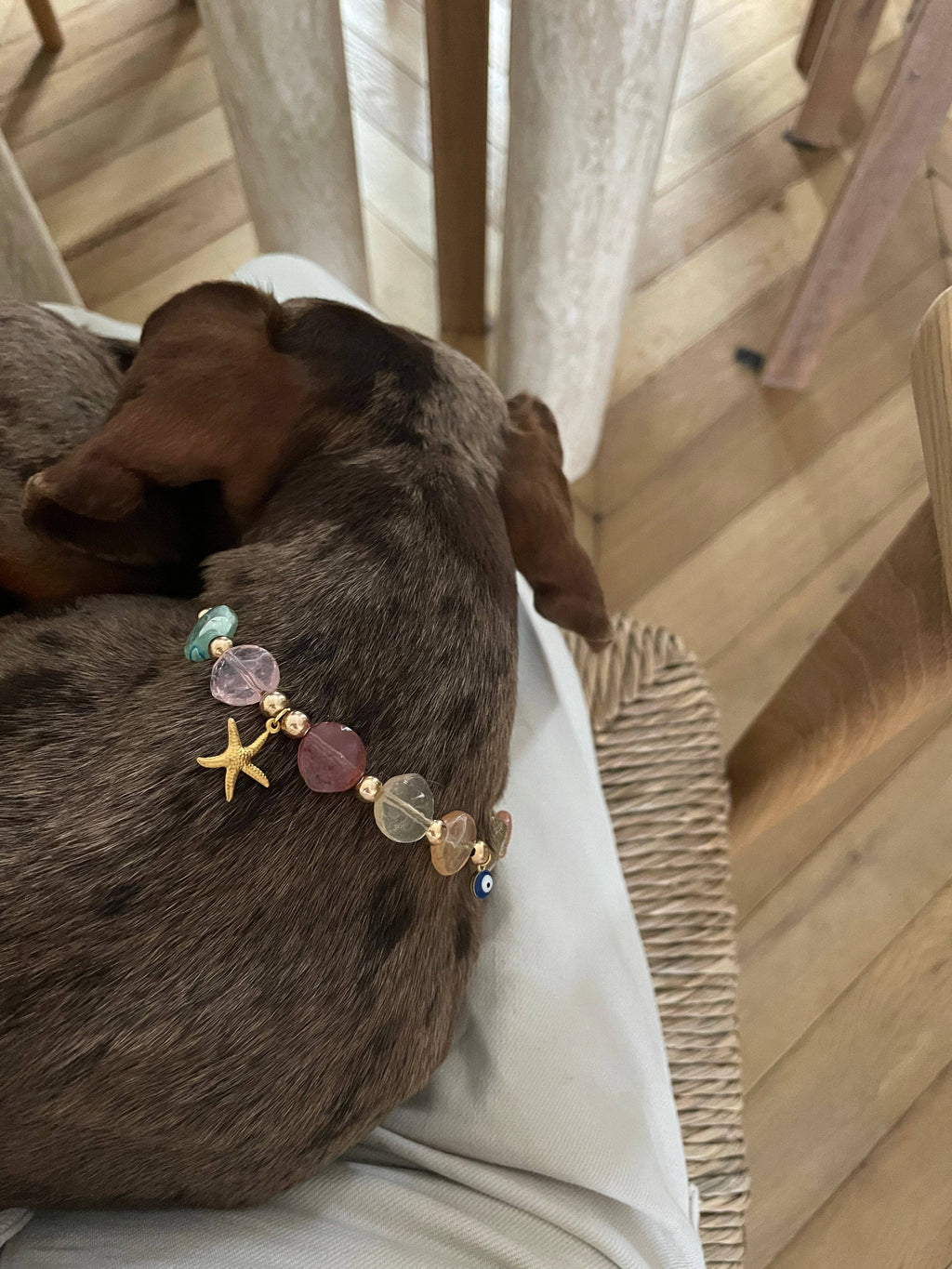 Collier en perles pour chien et chat Calypso