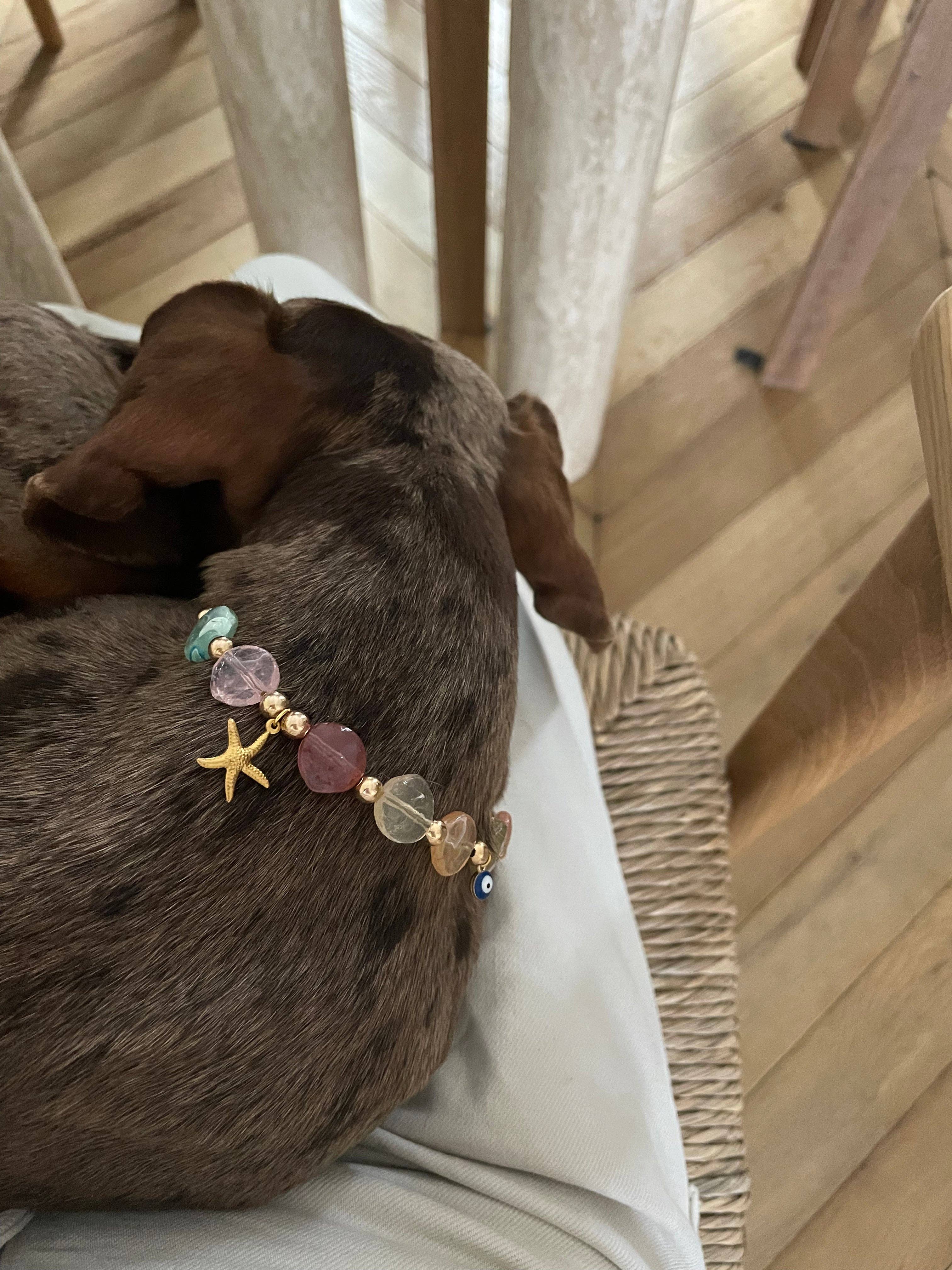 Collier en perles pour chien et chat Calypso