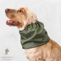Snood Imperméable pour Chien | Vert Olive