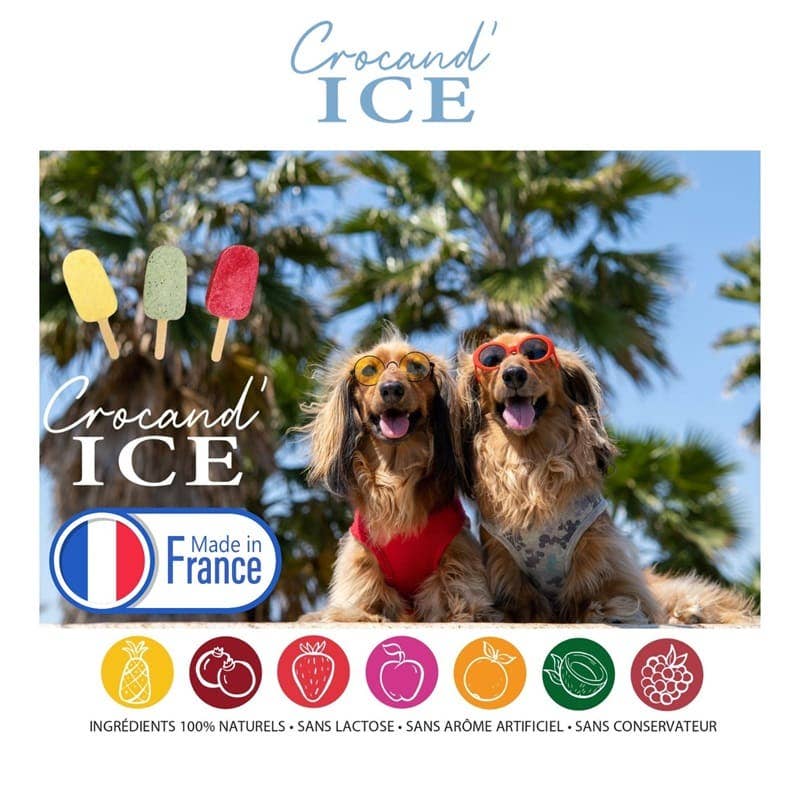 Glace pour chien  coco-banane