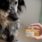 Parfum Timber Woof