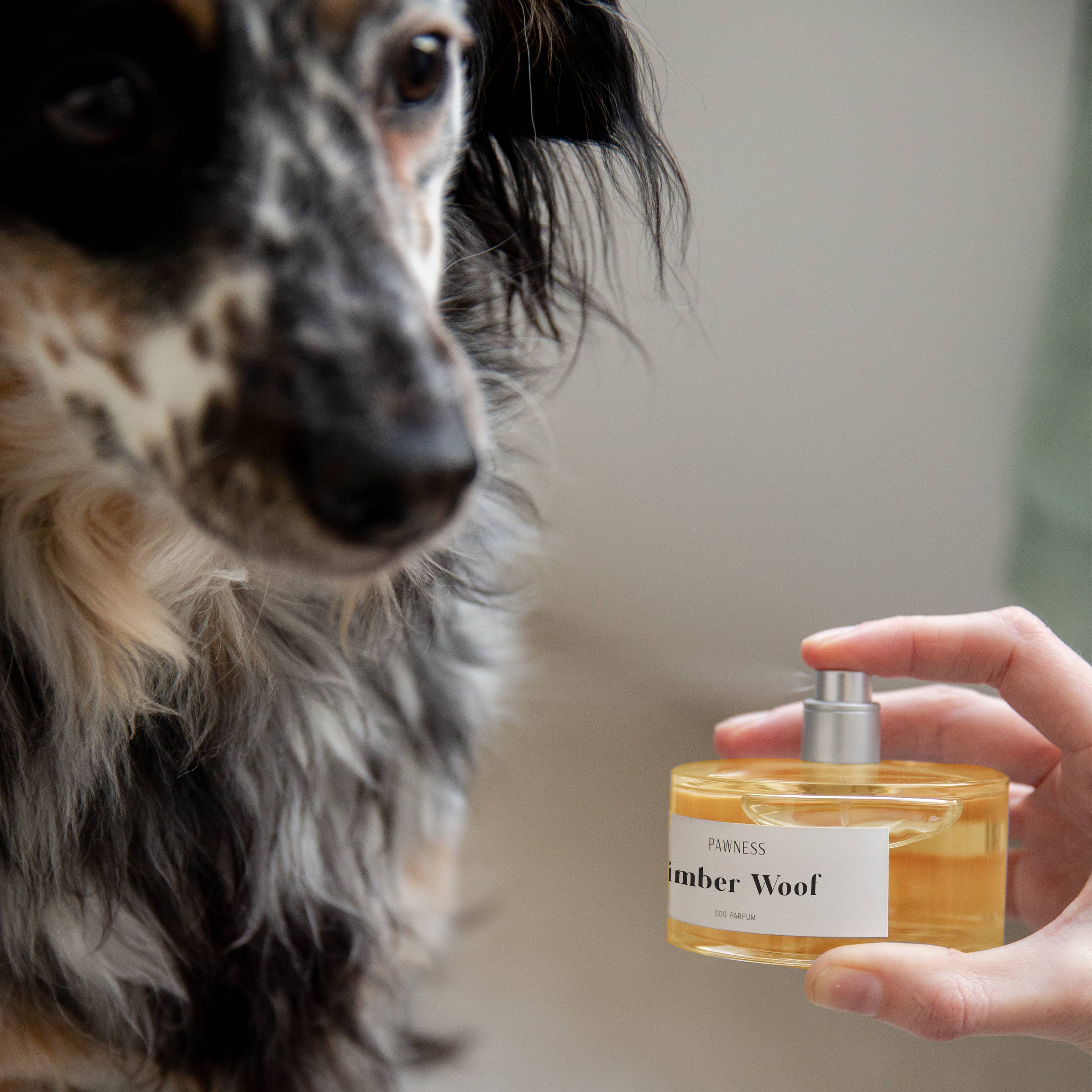 Parfum Timber Woof