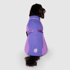 Gilet rafraîchissant Max Chill pour chien