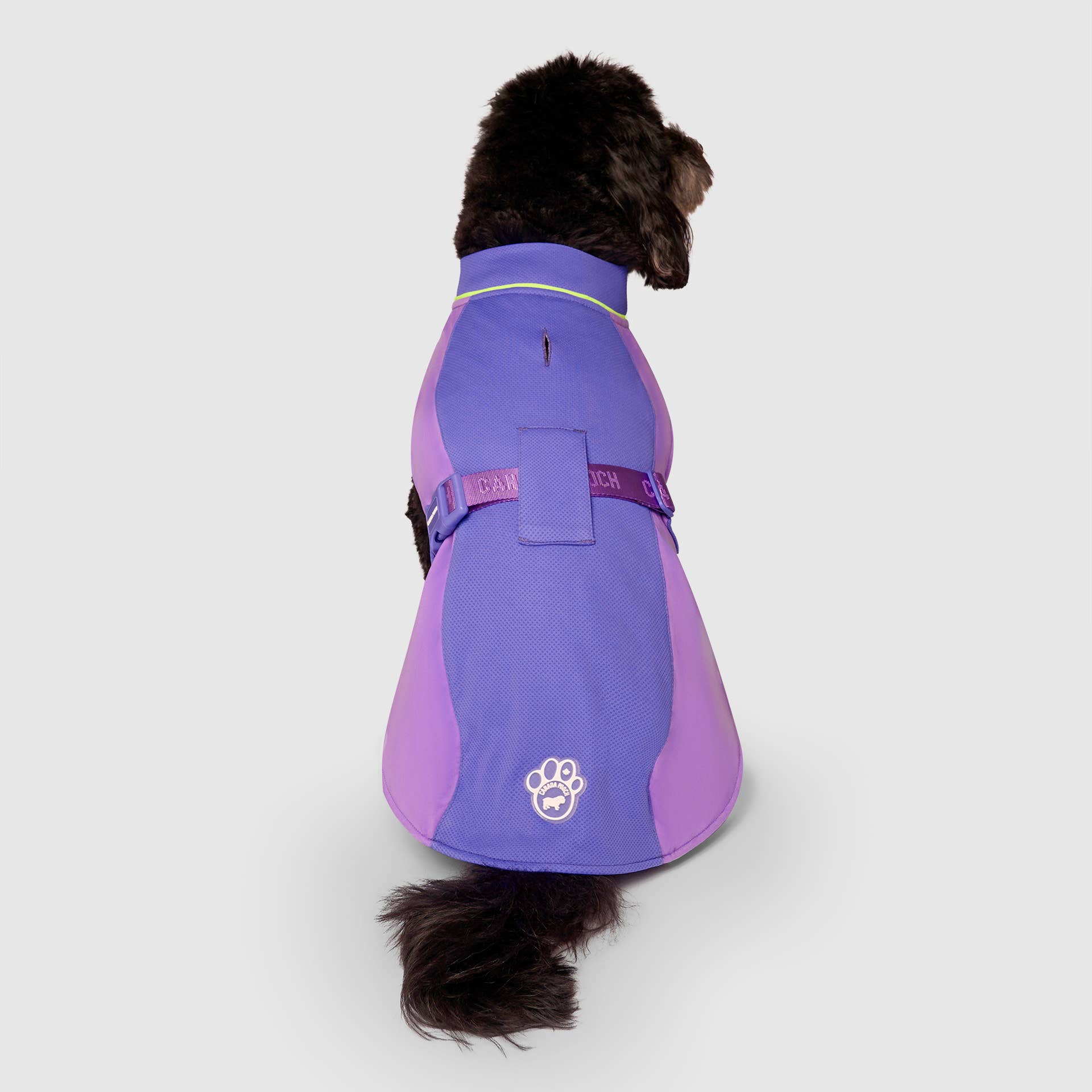 Gilet rafraîchissant Max Chill pour chien