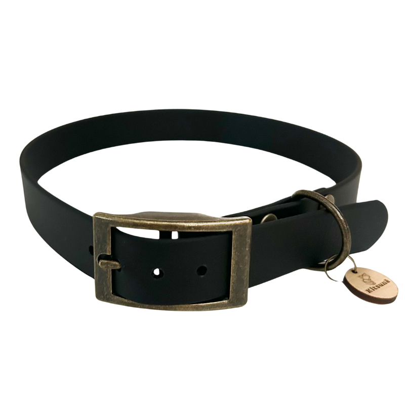 Collier biothane noir - REGLISSE