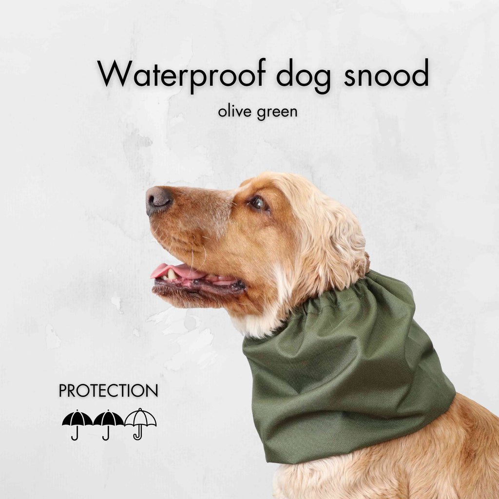 Snood Imperméable pour Chien | Vert Olive
