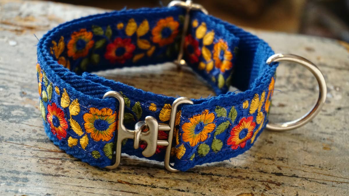 Collier large « Summertime » pour chiens moyens et grands