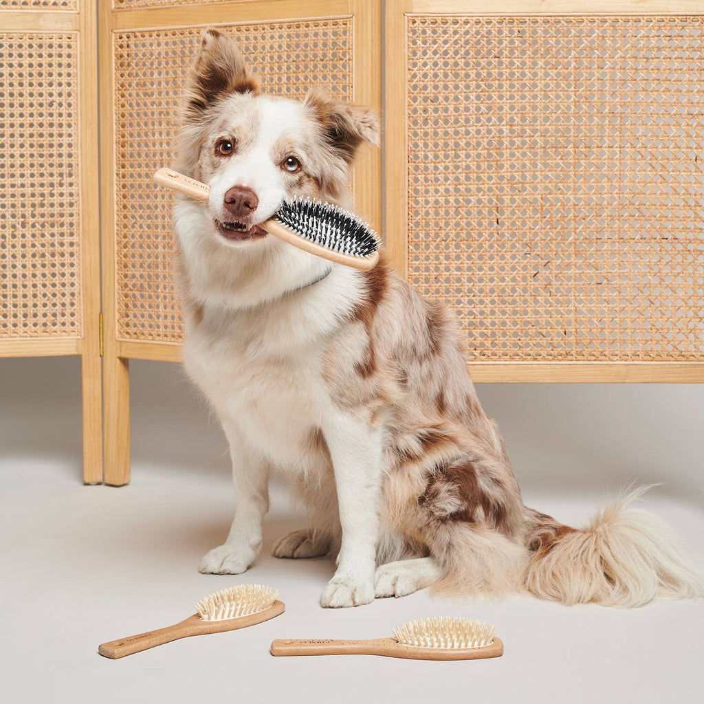 Brosse pour chien en bois - Pour poils longs et fins