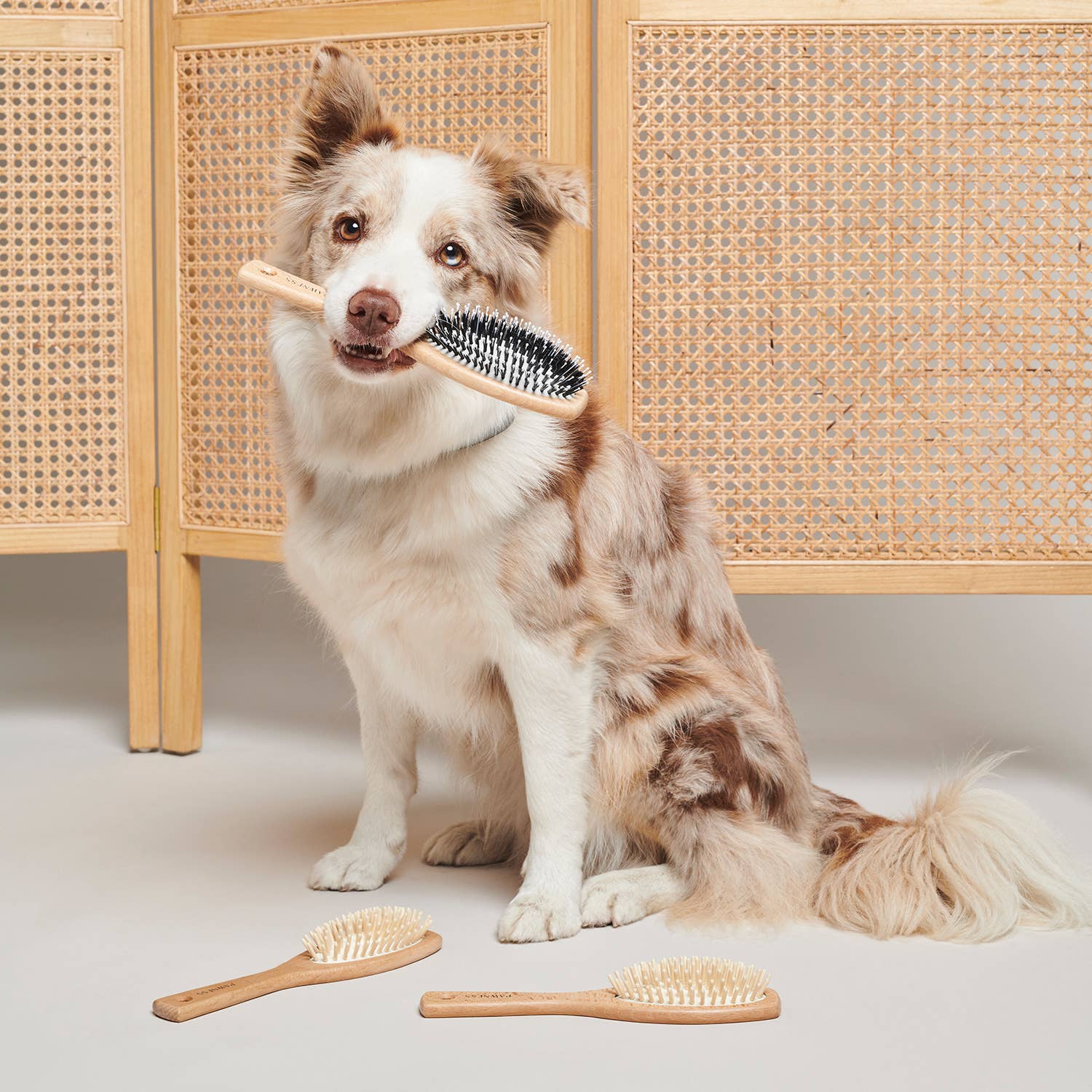 Brosse pour chien en bois - Pour poils longs et fins