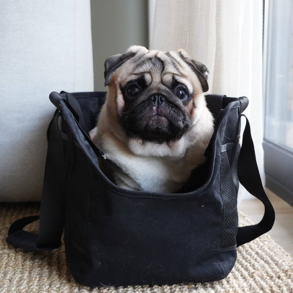 Sac de transport léger beige