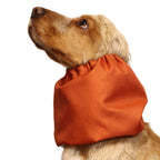 Tour de cou imperméable pour chien | Orange brûlé