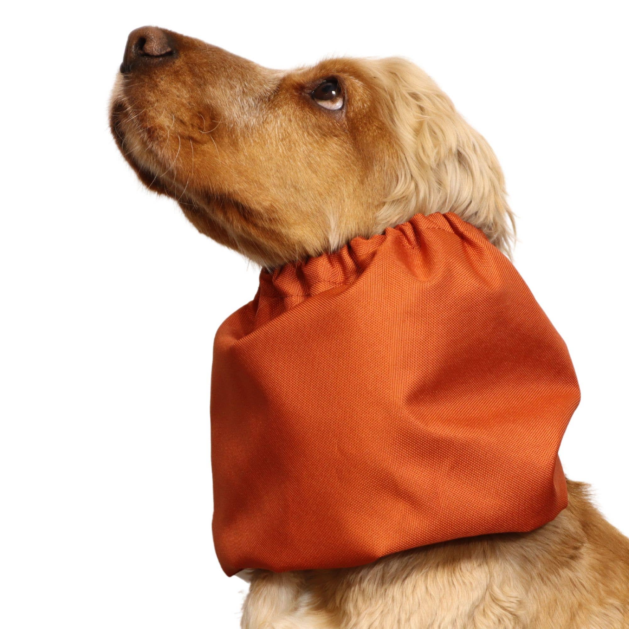 Tour de cou imperméable pour chien | Orange brûlé
