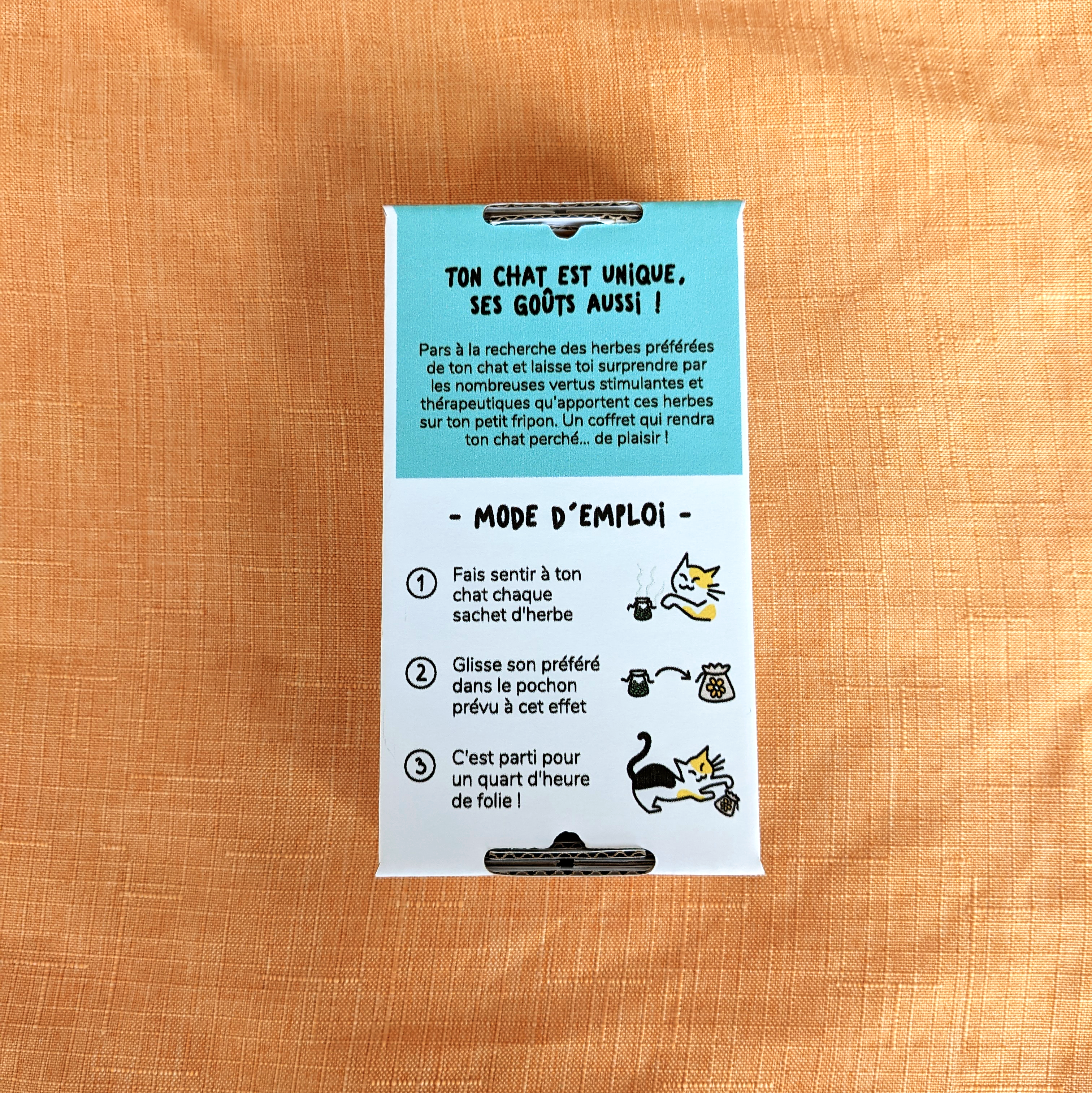 Coffret découverte herbes à chats