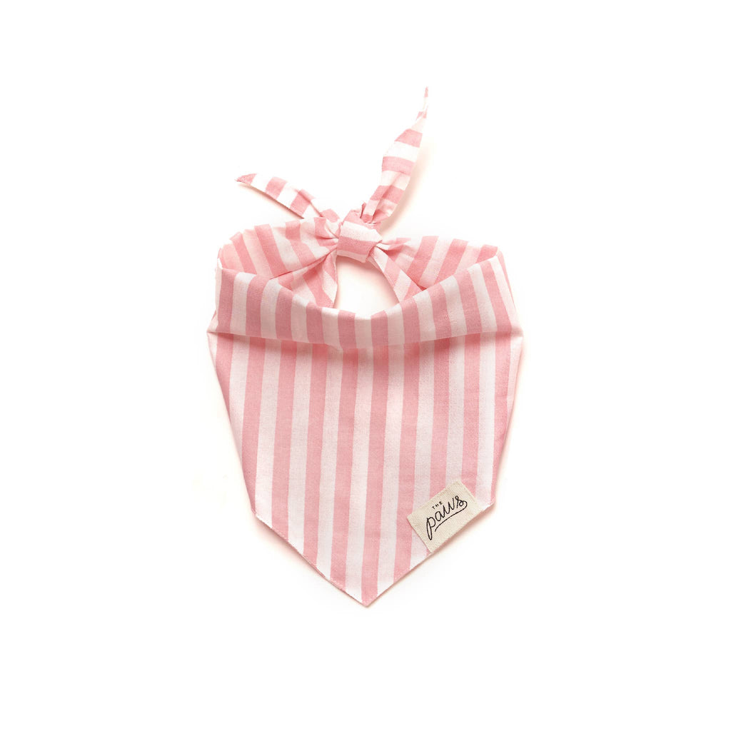 Bandana - Cabana rose