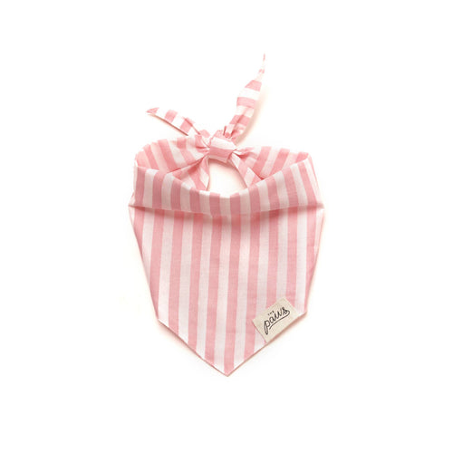 Bandana - Cabana rose