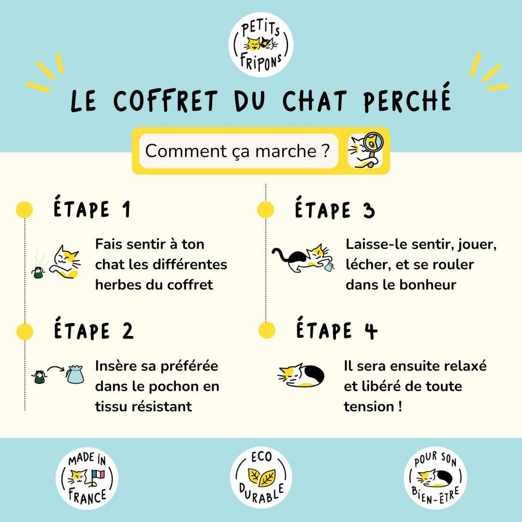 Coffret découverte herbes à chats