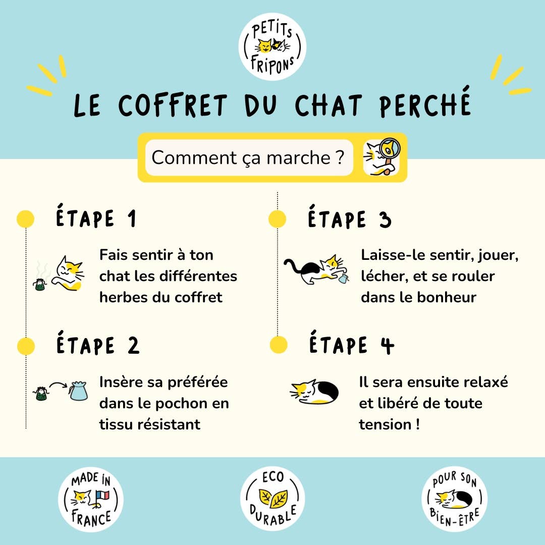 Coffret découverte herbes à chats