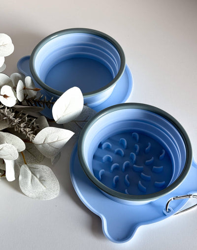 Foldable travel bowl