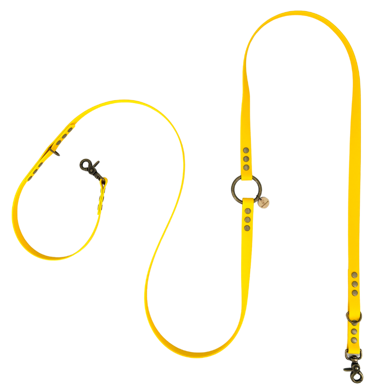 Laisse chien MULTIPOSITION biothane - CITRON