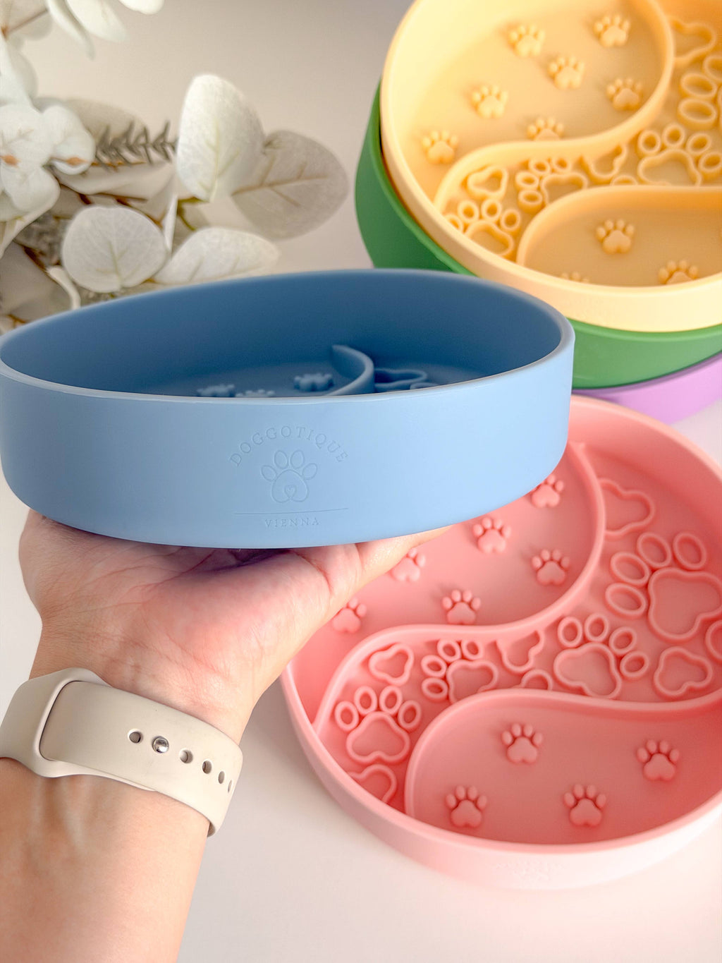 Slow Bowl pour chien