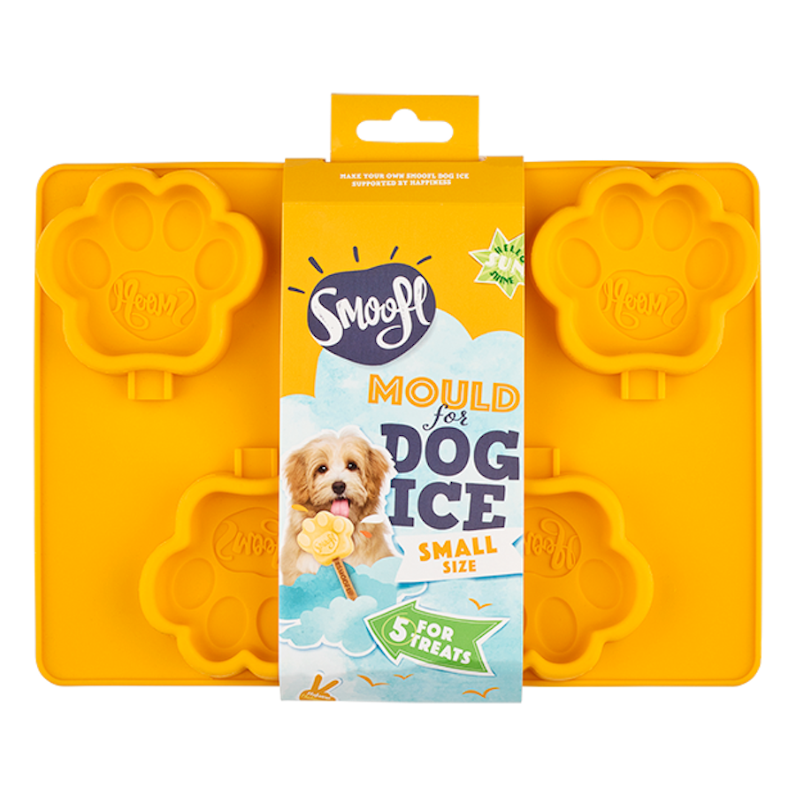 Moule pour glace - Petit