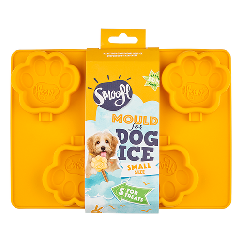 Moule pour glace - Petit