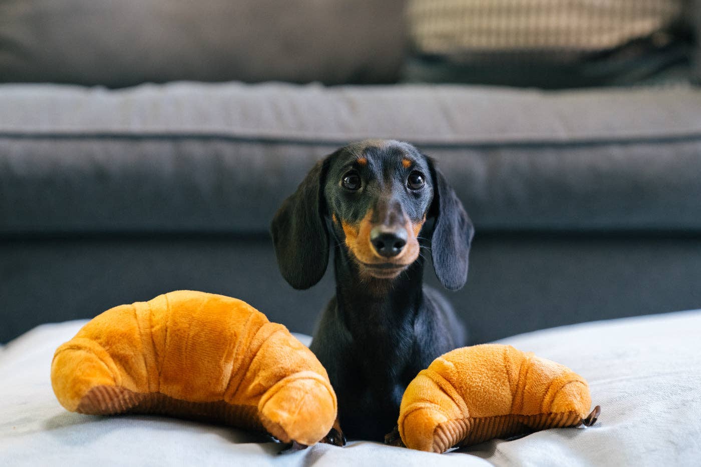 Jouet - Croissant