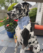 Bandana - Rayures bleues
