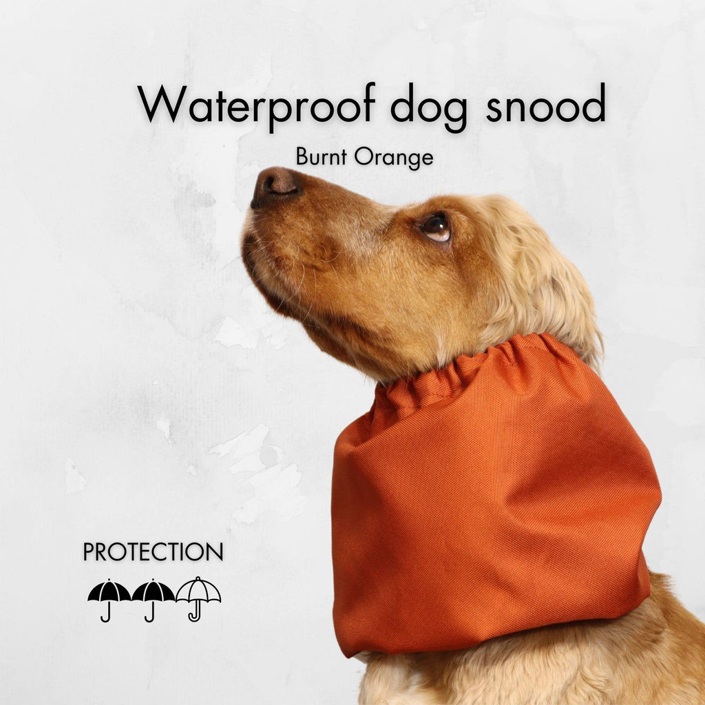 Tour de cou imperméable pour chien | Orange brûlé