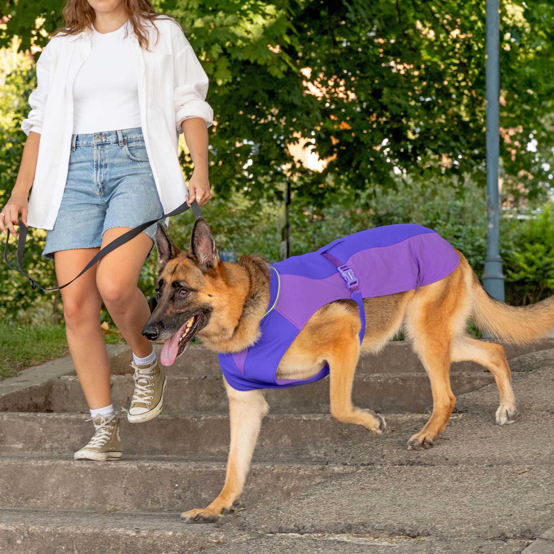 Gilet rafraîchissant Max Chill pour chien