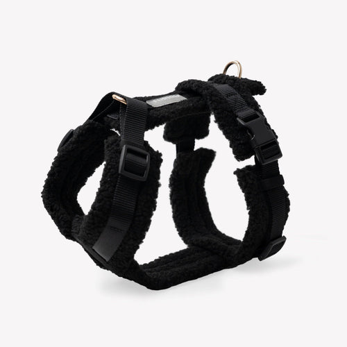 Noir - Harnais pour chien Sherpa