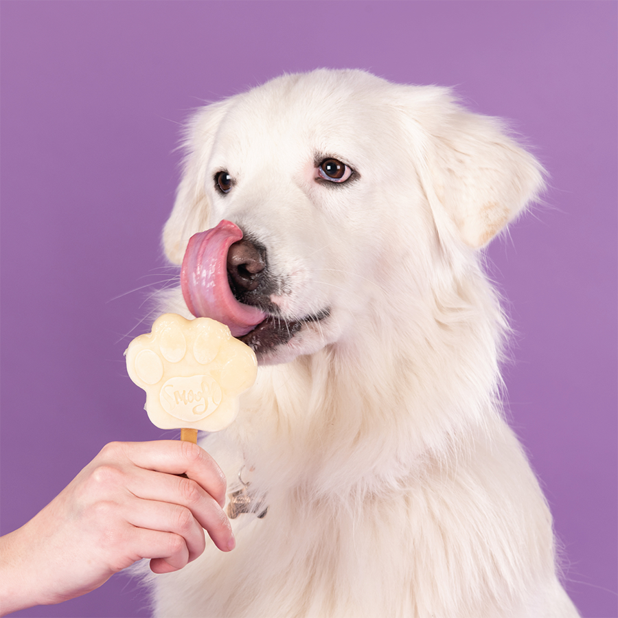 Glace pour chien - Banane