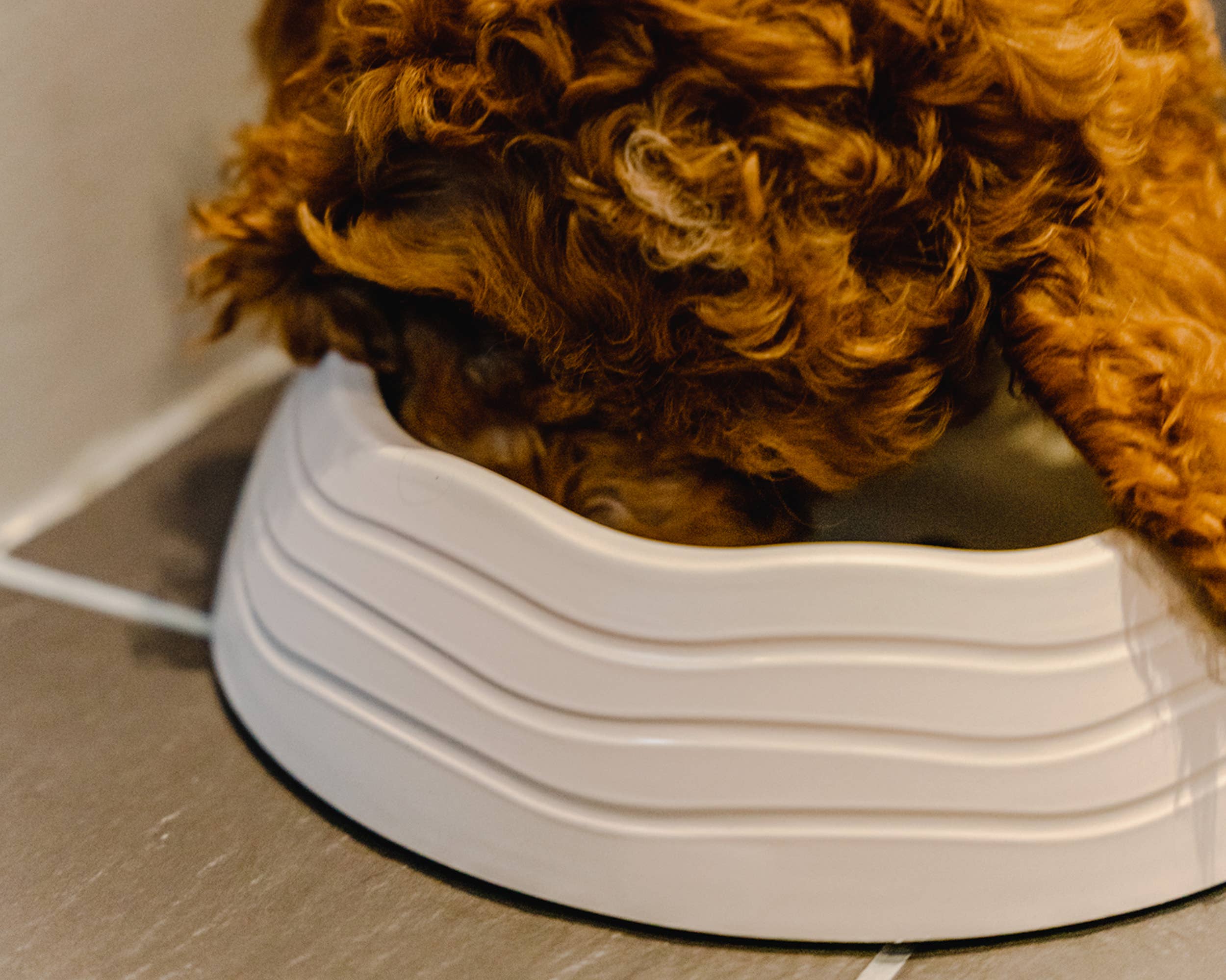 Gamelle pour chien en plastique océanique recyclé