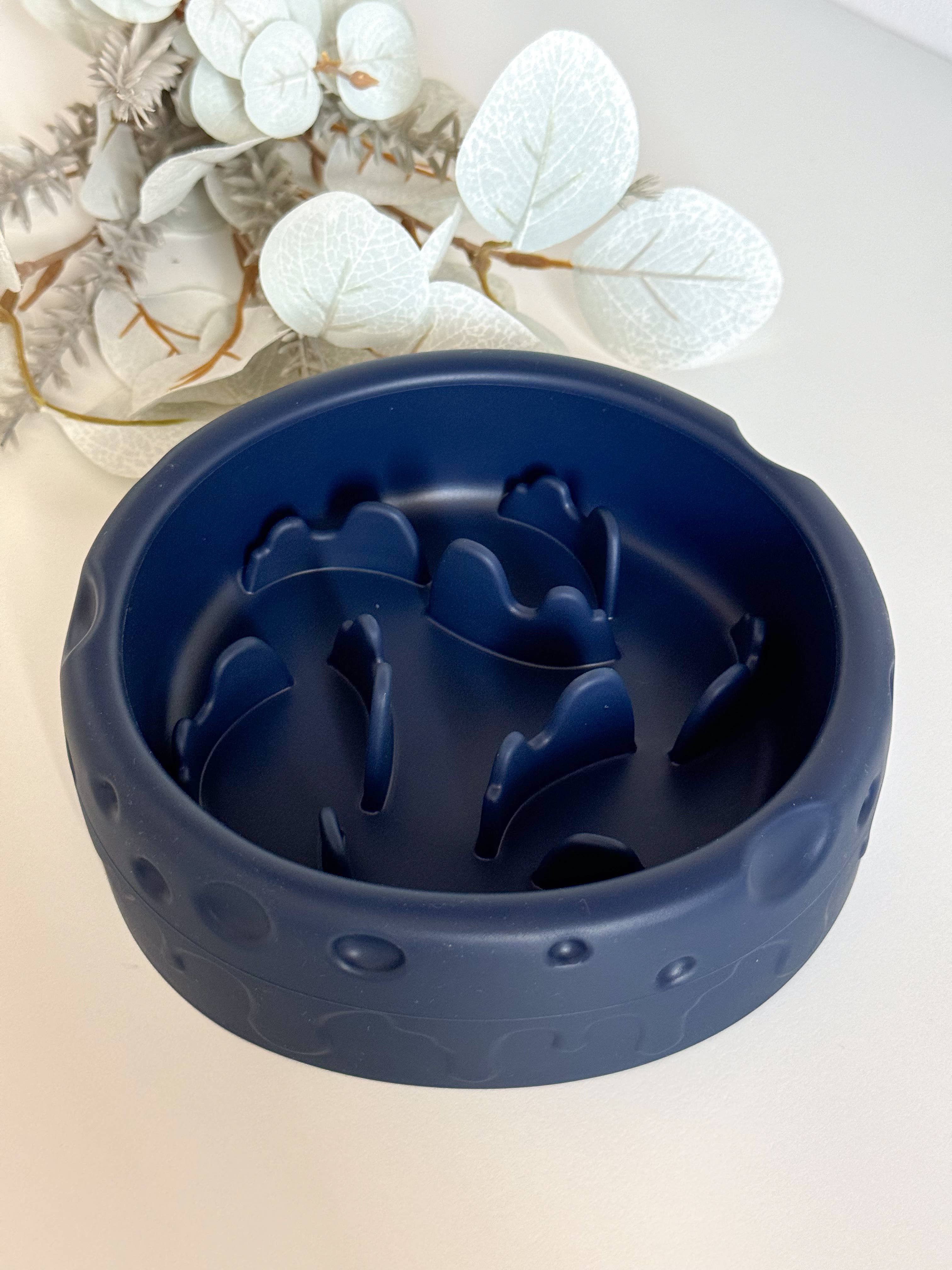 Gamelle anti-glouton Moon