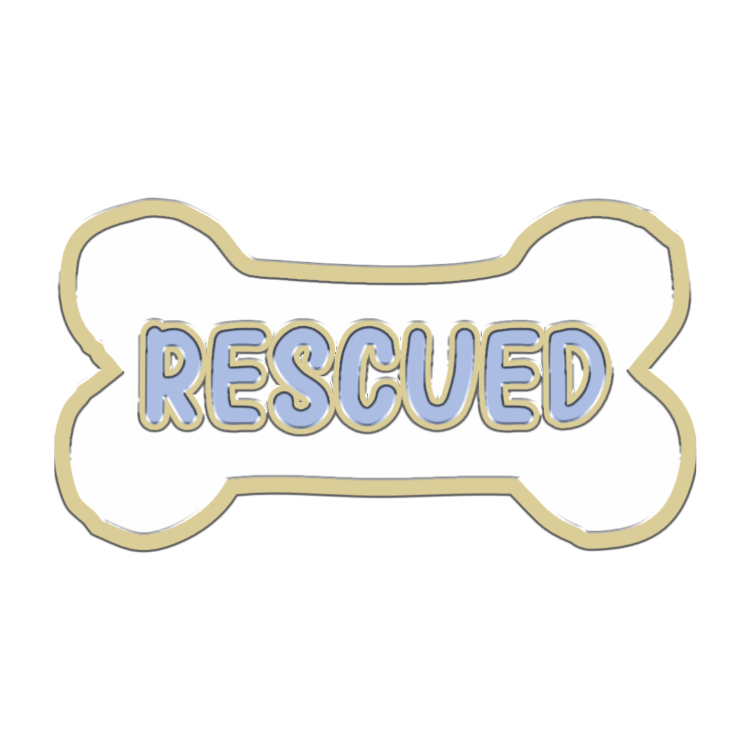 Breloque - Rescued Bone
