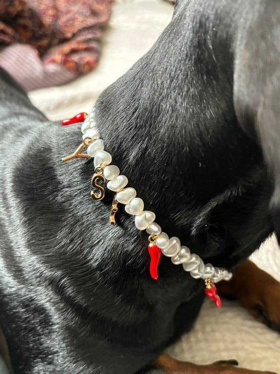 Collier en perles pour chien et chat Picante