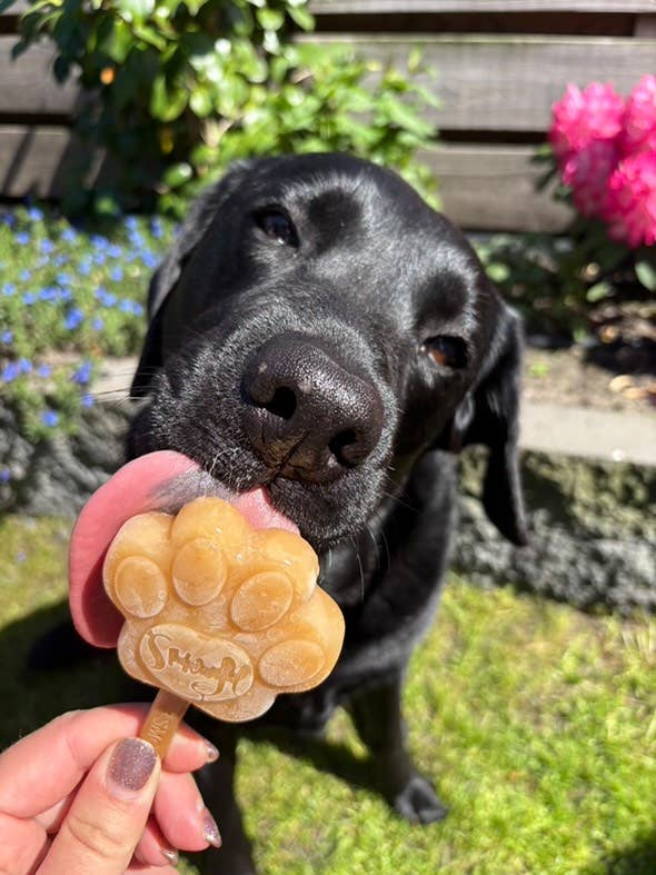Glace pour chien - Beurre de cacahuète